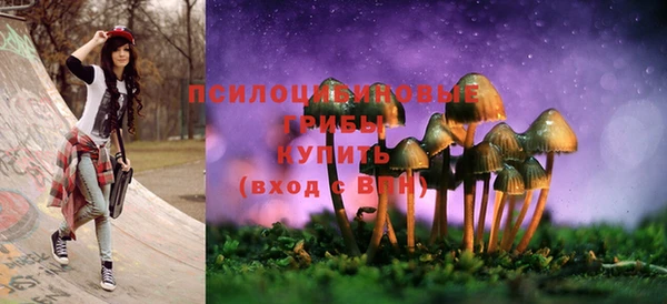 крисы Зеленодольск