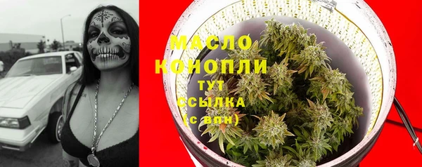 крисы Зеленодольск