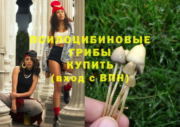 крисы Зеленодольск
