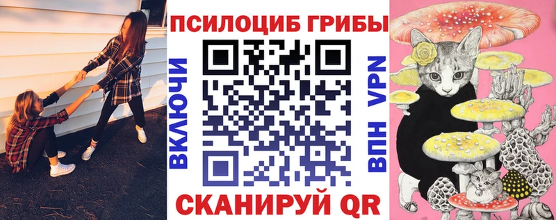 Псилоцибиновые грибы GOLDEN TEACHER  Купить  Сыктывкар 