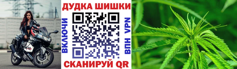 Бошки Шишки SATIVA & INDICA  Купить закладки  Сыктывкар